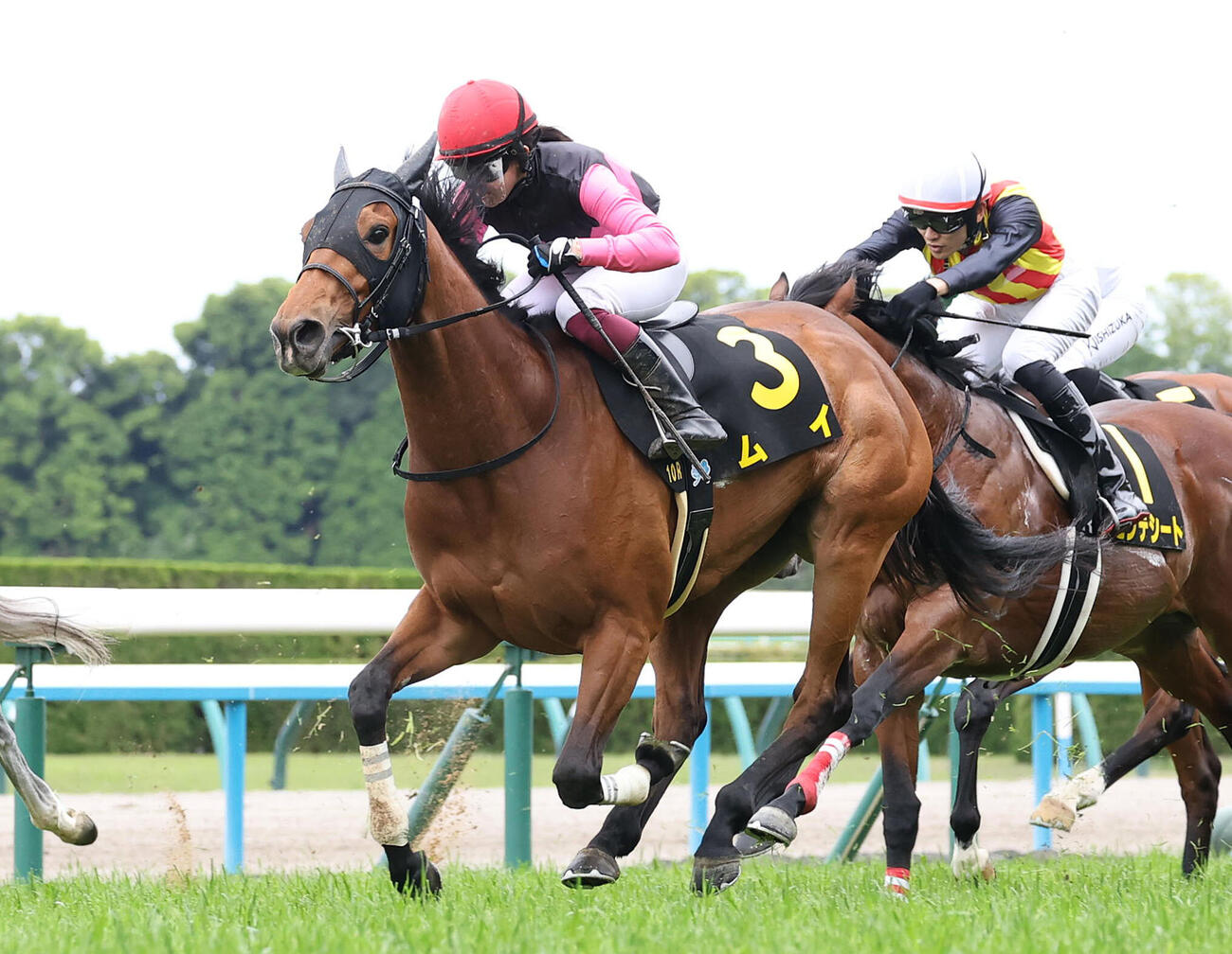 25年5月、直線外から伸びて橘Sを制したムイと今村聖奈騎手