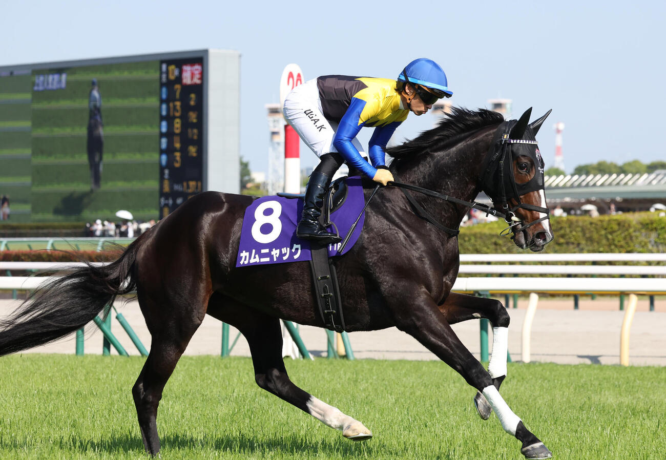 ヴィクトリアMで2着のカムニャック