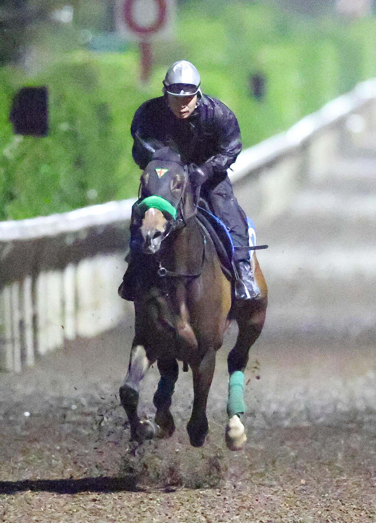 ジョバンニ（2026年4月15日撮影）
