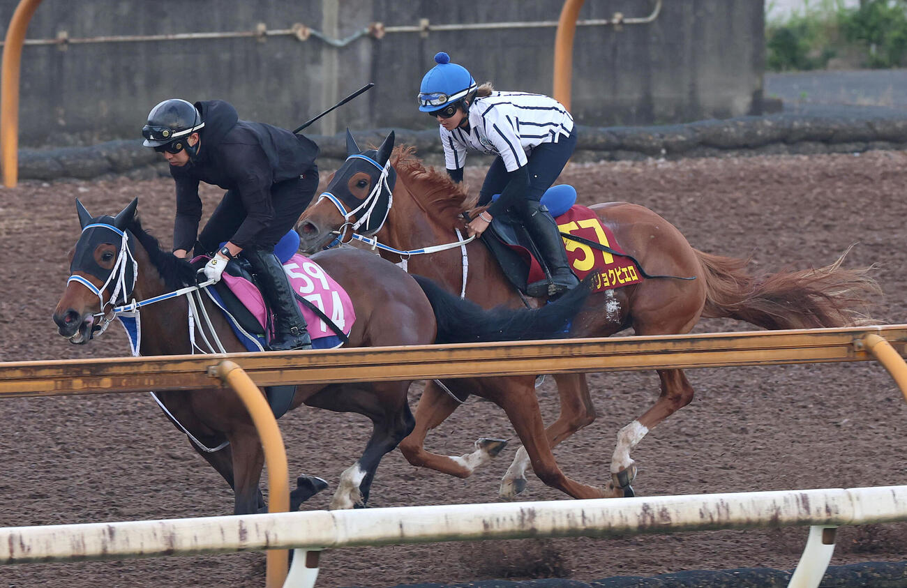 ジュウリョクピエロでオークスに挑む今村聖奈騎手