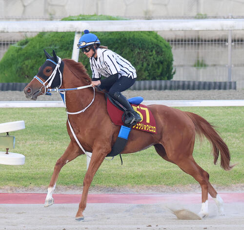 オークス】ジュウリョクピエロの今村聖奈騎手「動きの質がすごくいい