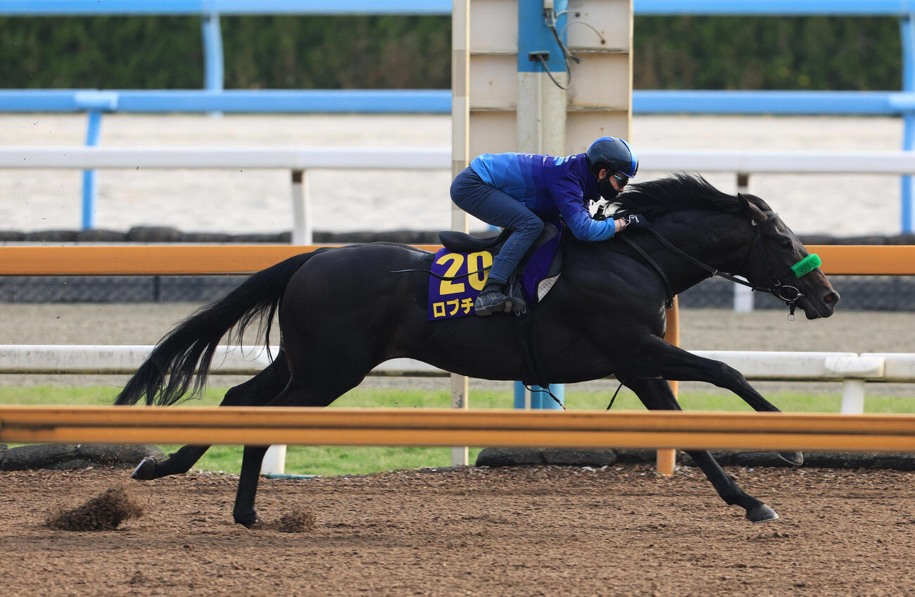 Cウッドの併せ馬で先着したロブチェン
