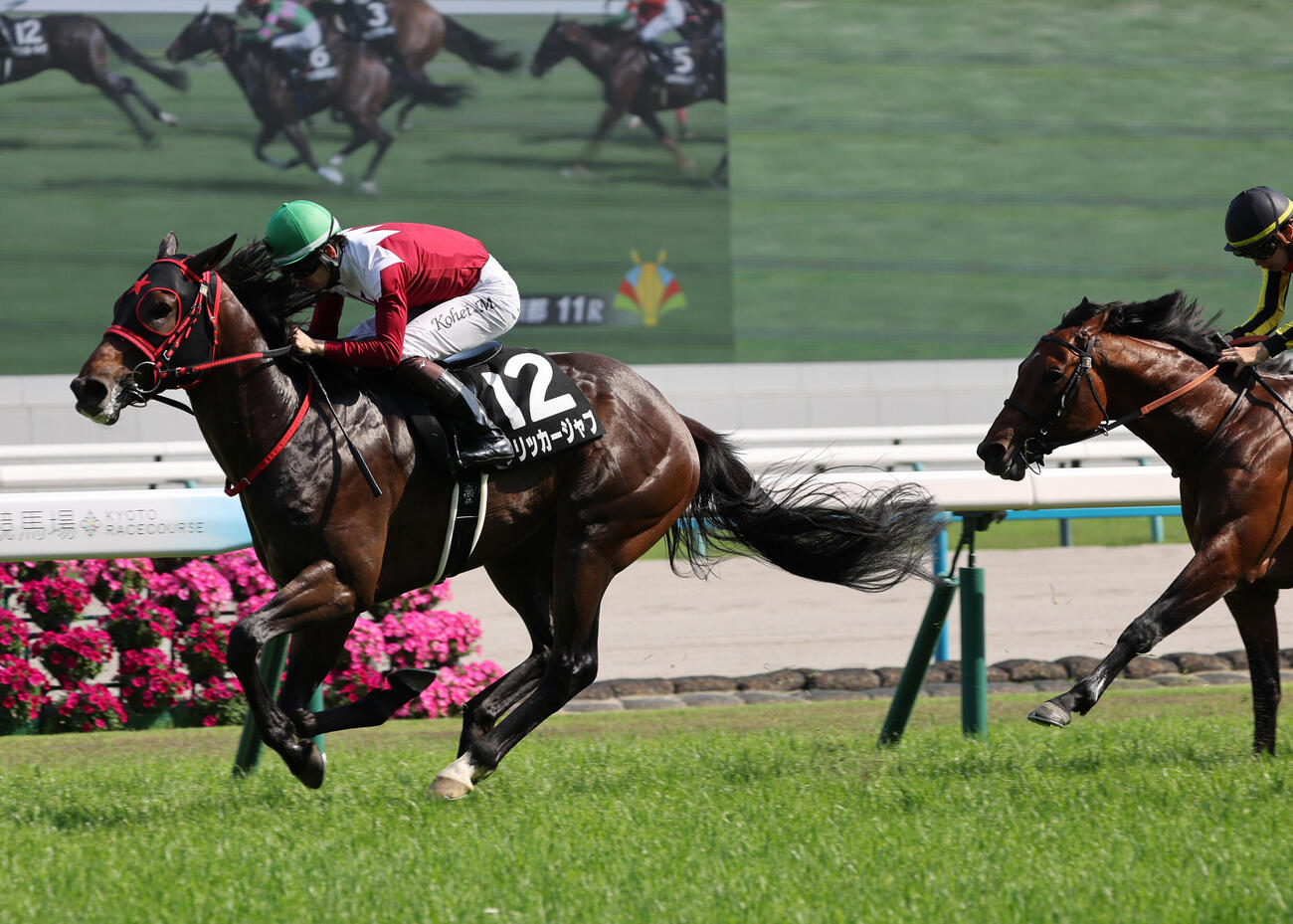 鞍馬Sはフリッカージャブが直線で力強く伸びて勝利した（2026年5月16日撮影）