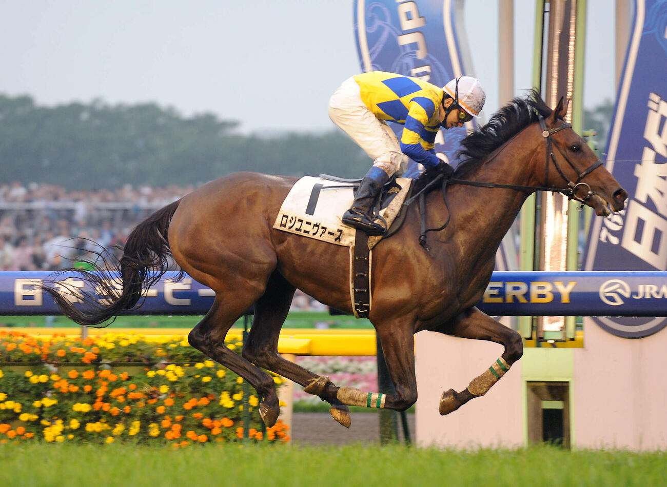 09年、日本ダービーを制したロジユニヴァースと横山典騎手