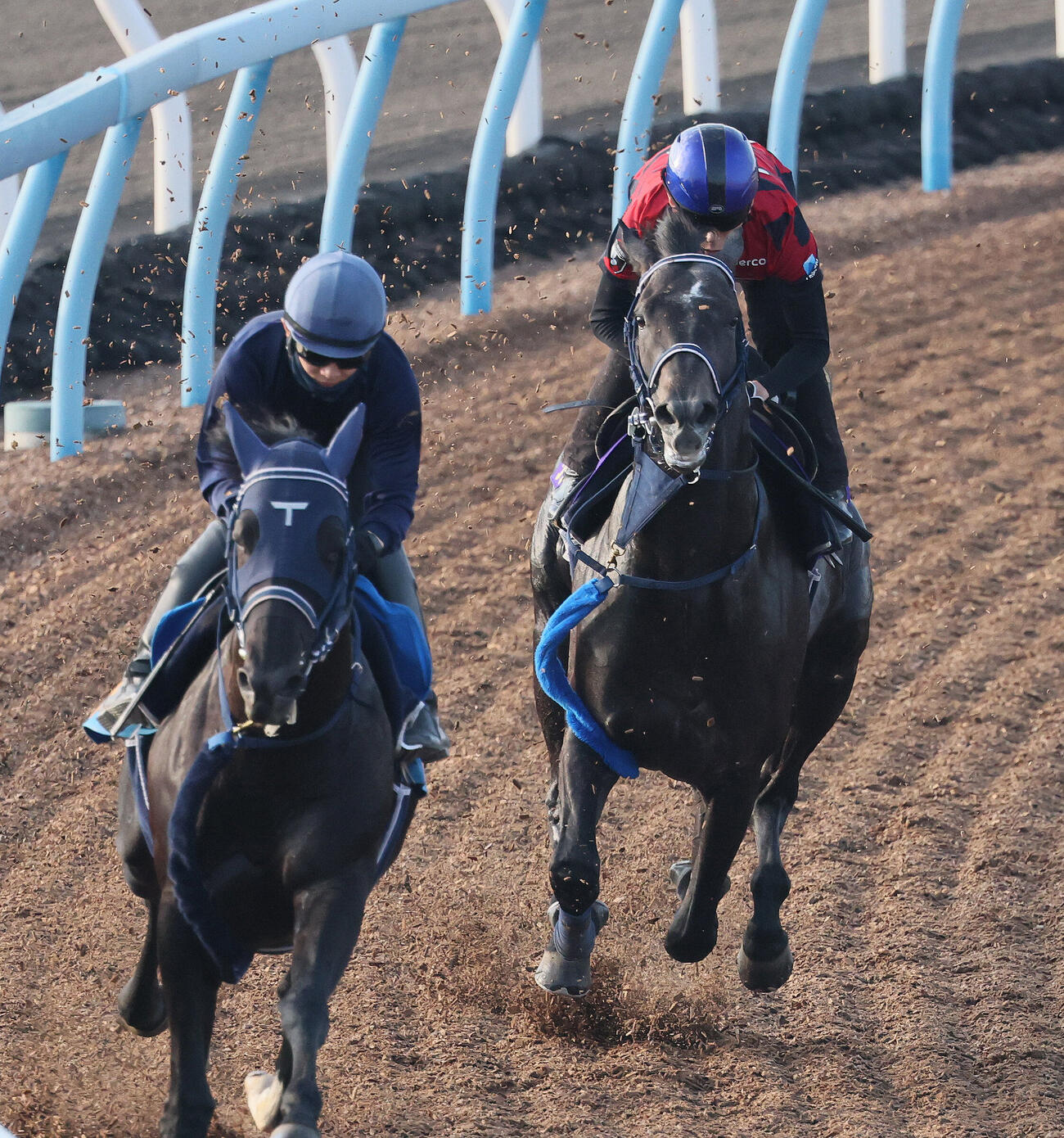 20日、リアライズシリウス（右）は津村明秀騎手を背に美浦ウッドでフォルラニーニと併せて追い切られた