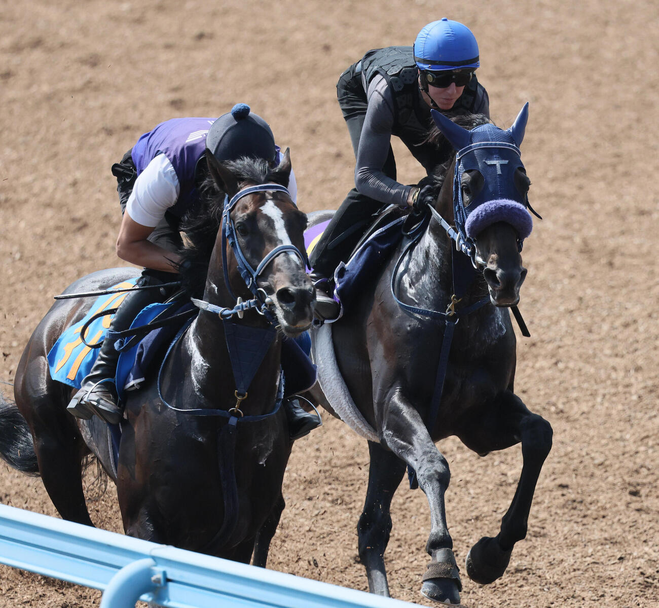 20日、アウダーシア（右）はダミアン・レーン騎手を背に美浦ウッドでジオセントリックと併せて追い切られた