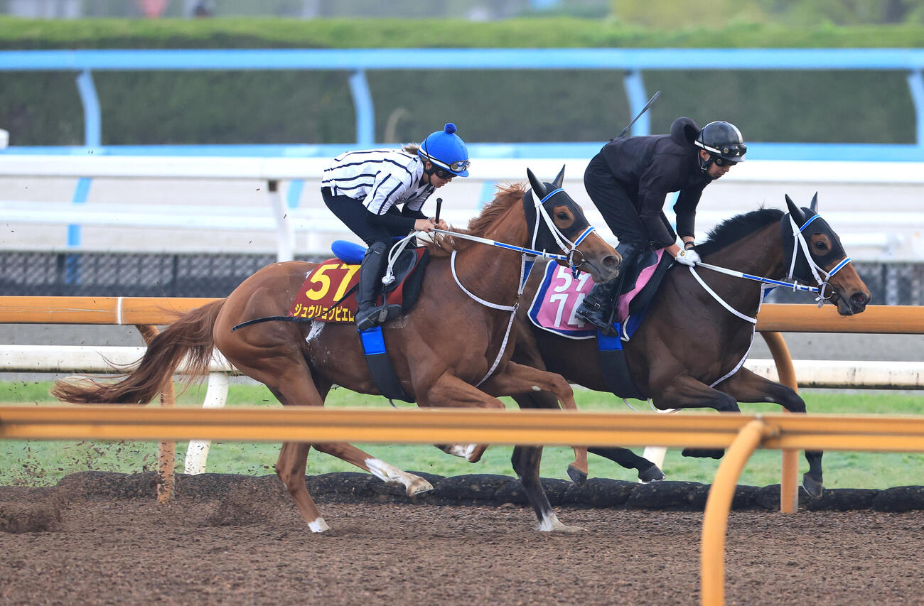 20日、Cウッドコースを2頭併せで追い切るジュウリョクピエロ（手前）
