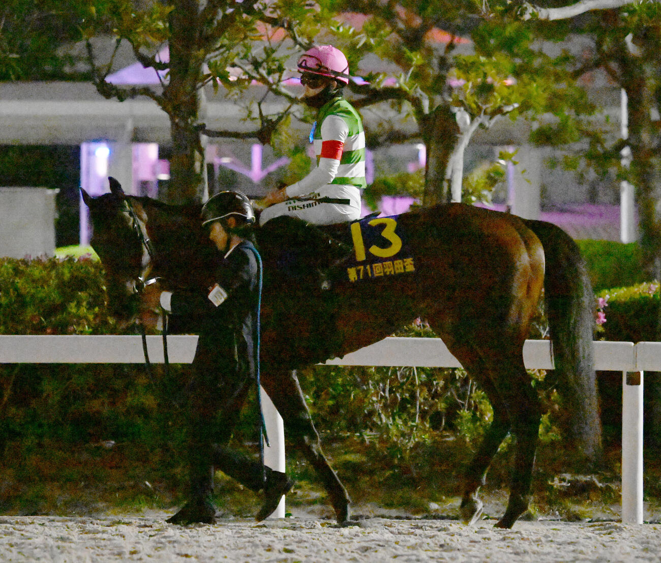 羽田盃で2着のロックターミガン（2026年4月29日撮影）