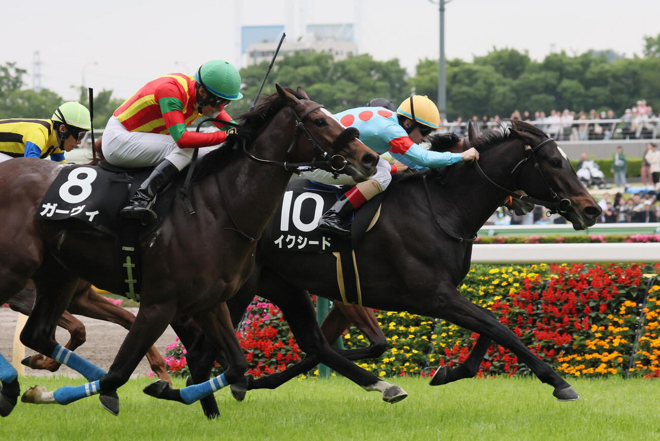 東京9R、ゴール手前で差し切ってカーネーションCを制したイクシードとクリストフ・ルメール騎手（撮影・丹羽敏通）