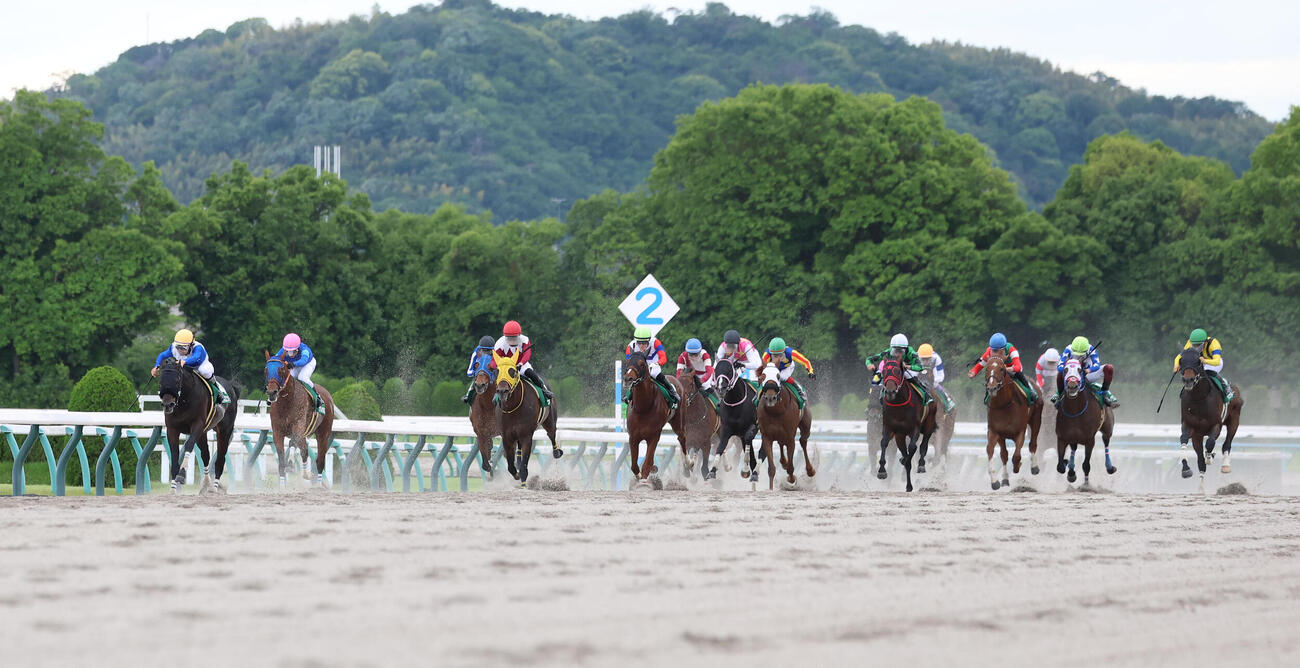 京都11R、直線抜け出して平安Sを快勝したロードクロンヌ（左）（撮影・白石智彦）