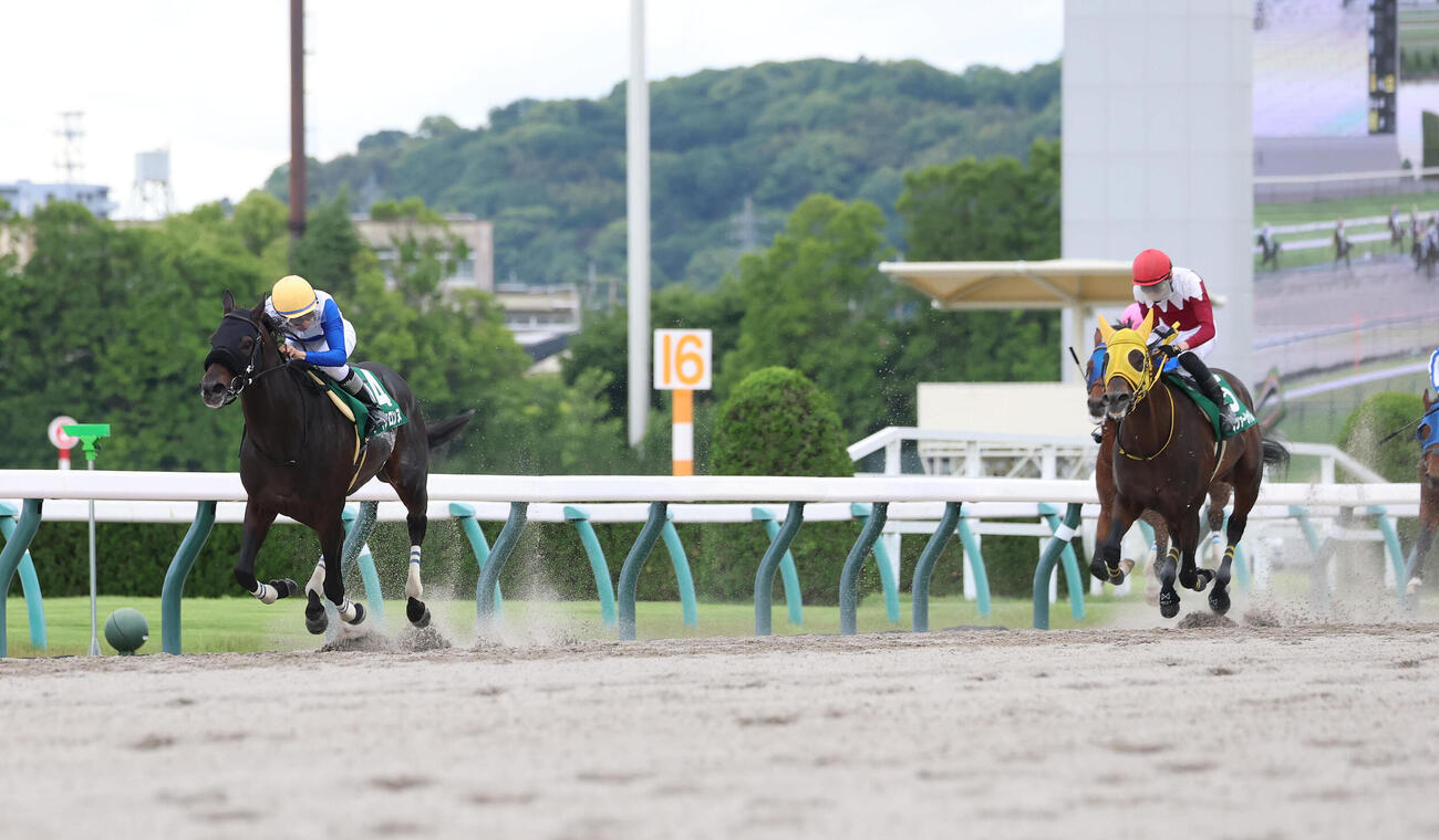 直線抜け出して平安Sを快勝したロードクロンヌ（左）（撮影・白石智彦）