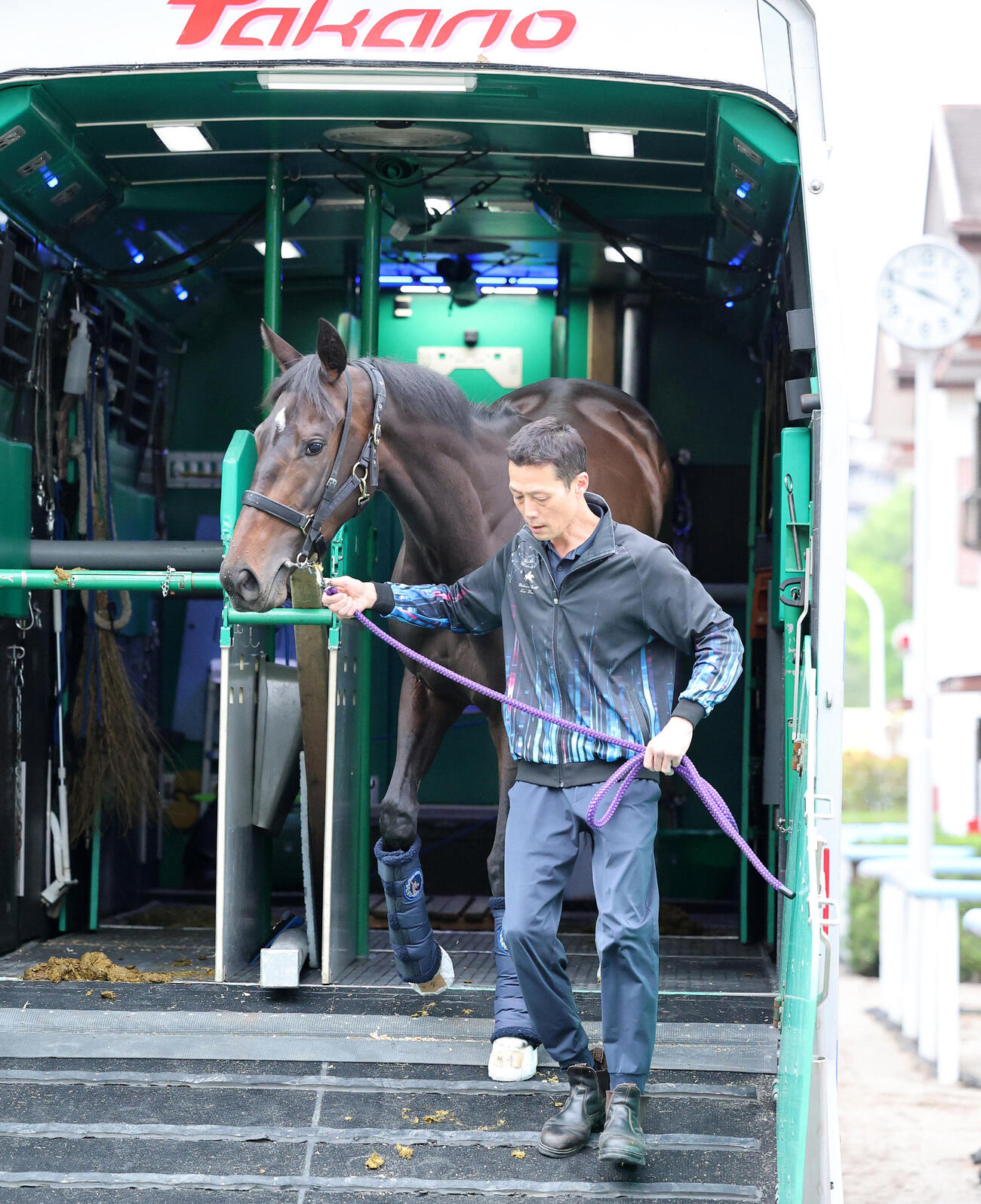 東京競馬場に到着したアランカール（撮影・鈴木正人）