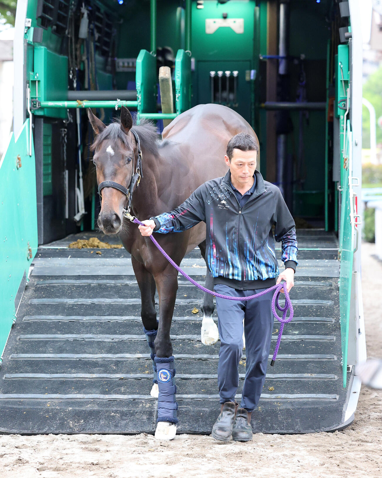 東京競馬場に到着し馬運車から降りるアランカール（撮影・鈴木正人）