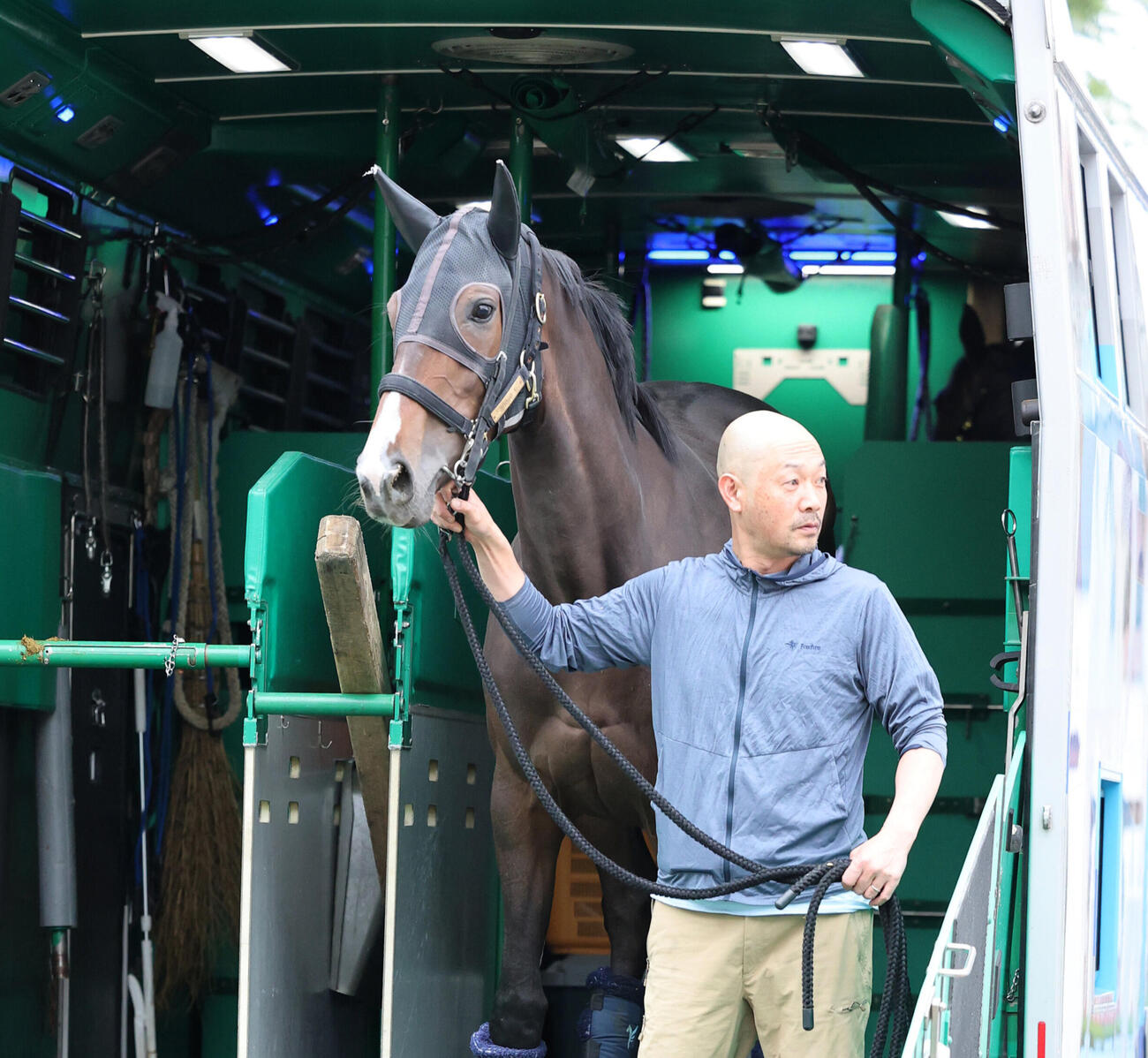 東京競馬場に到着したトリニティ（撮影・鈴木正人）