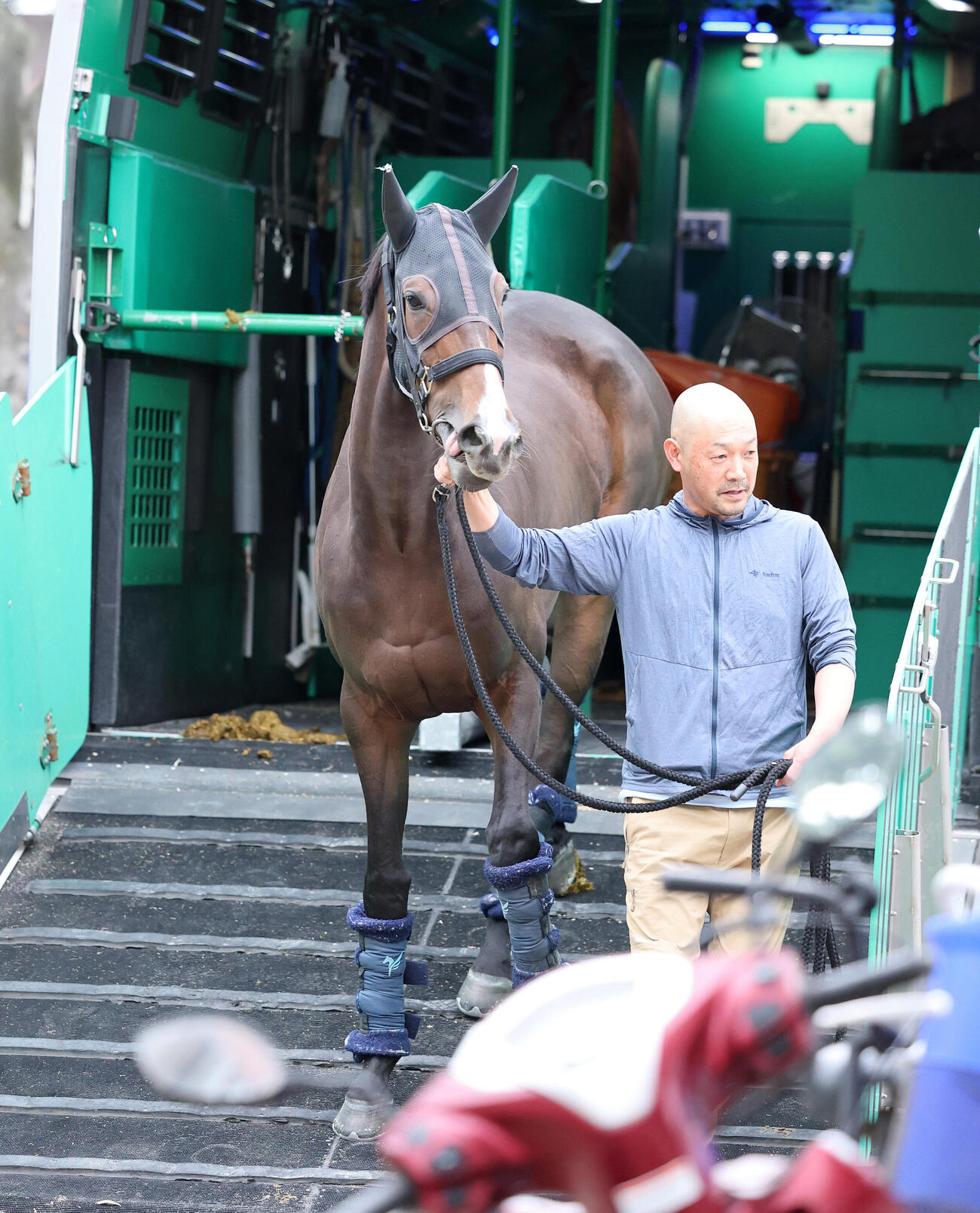 東京競馬場に到着し馬運車から降りるトリニティ（撮影・鈴木正人）