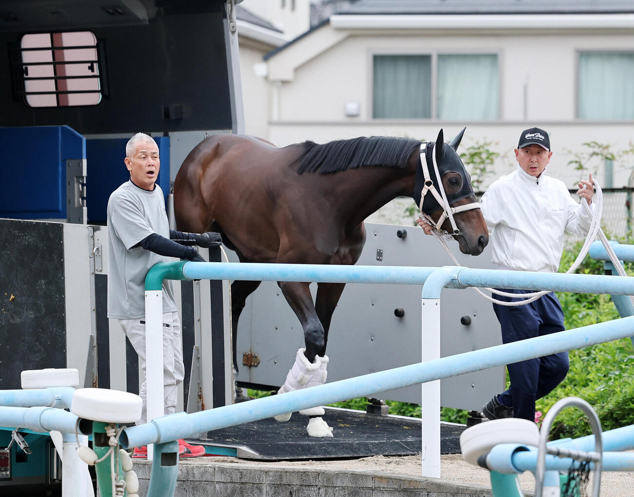 東京競馬場に到着したスマートプリエール（撮影・鈴木正人）