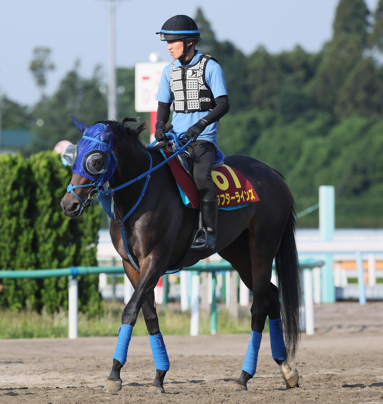 ラフターラインズ（2026年5月20日撮影）