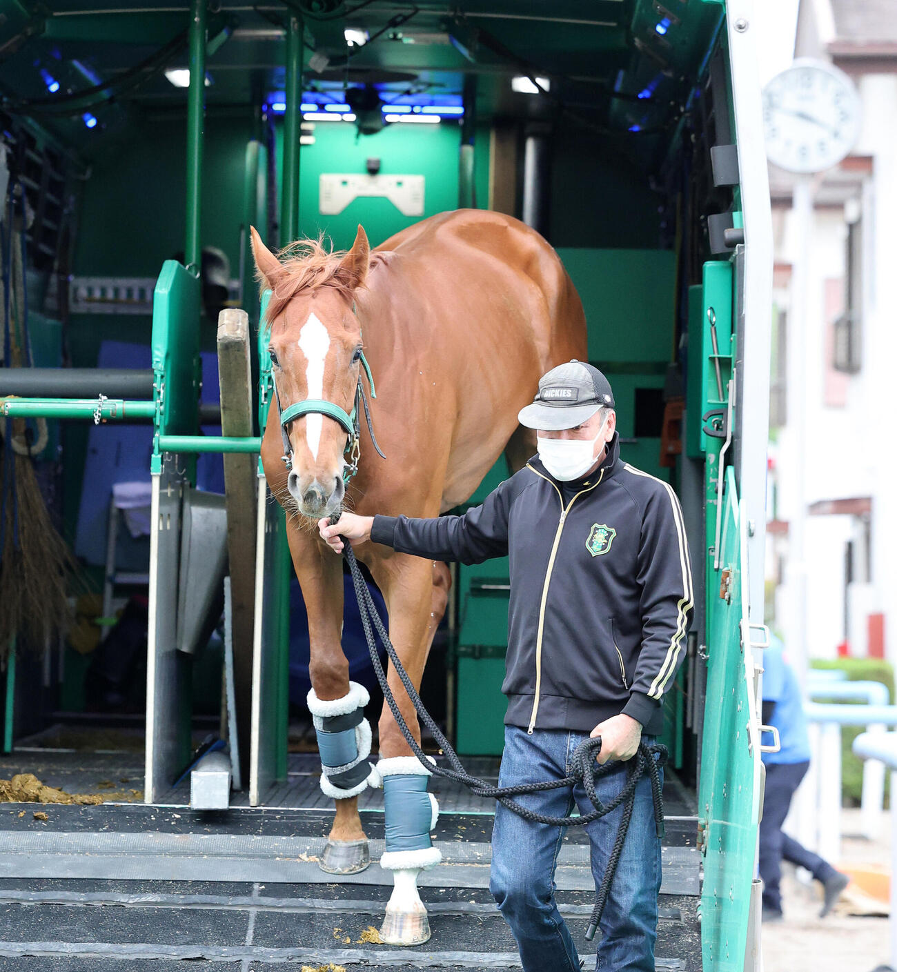 東京競馬場に到着したスウィートハピネス（撮影・鈴木正人）