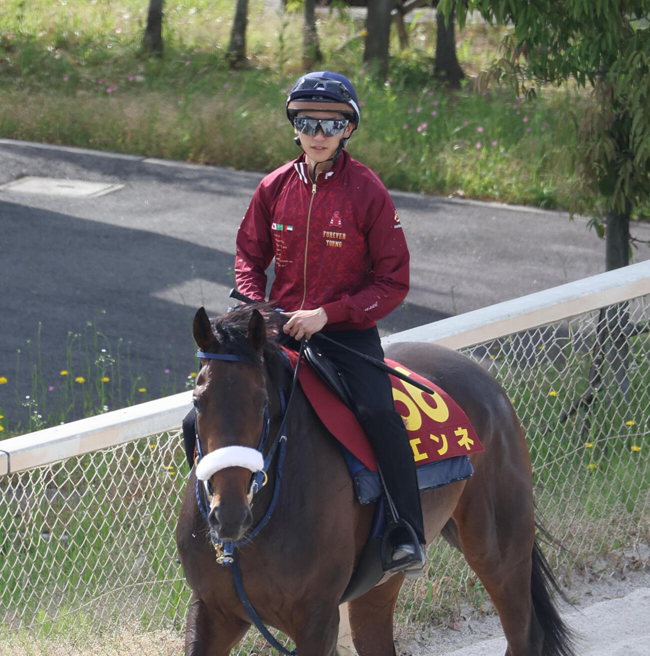 坂井瑠星騎手とエンネ（2026年5月20日撮影）