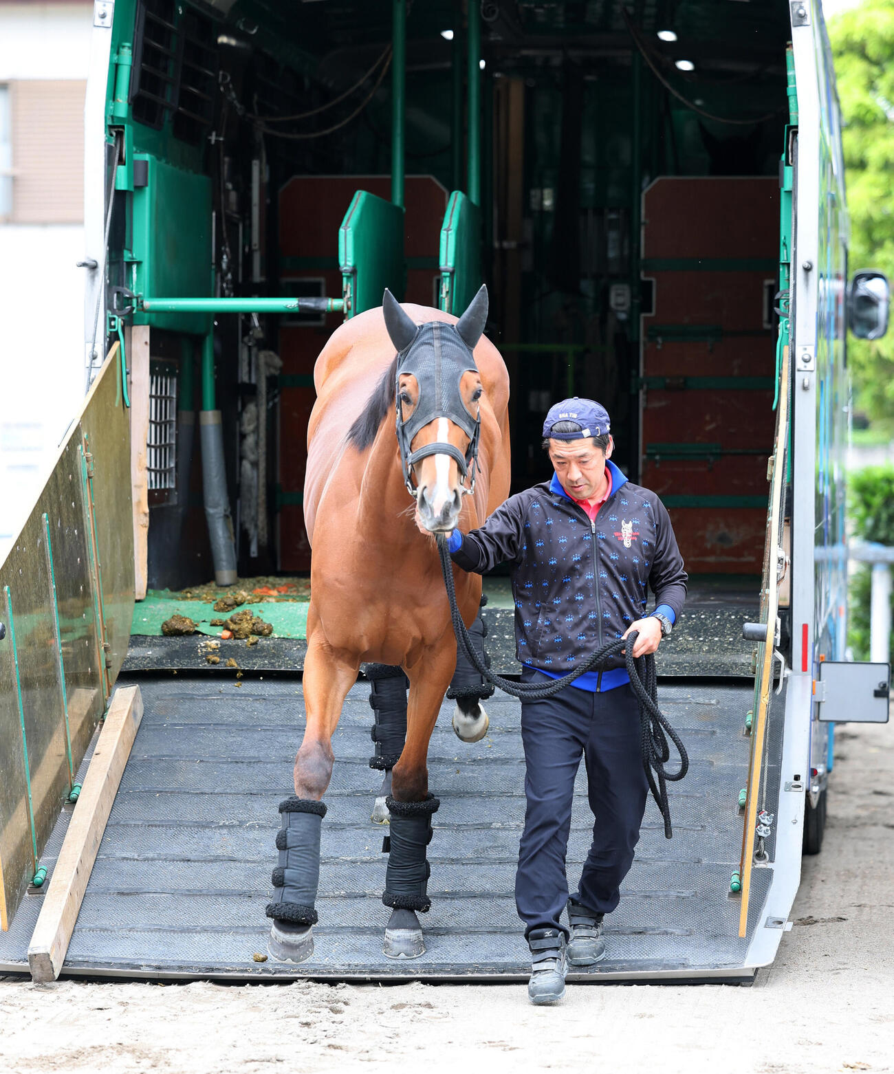 東京競馬場に到着したロングトールサリー（撮影・鈴木正人）
