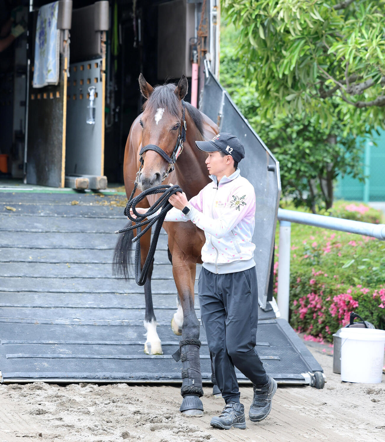 東京競馬場に到着したレイクラシック（撮影・鈴木正人）