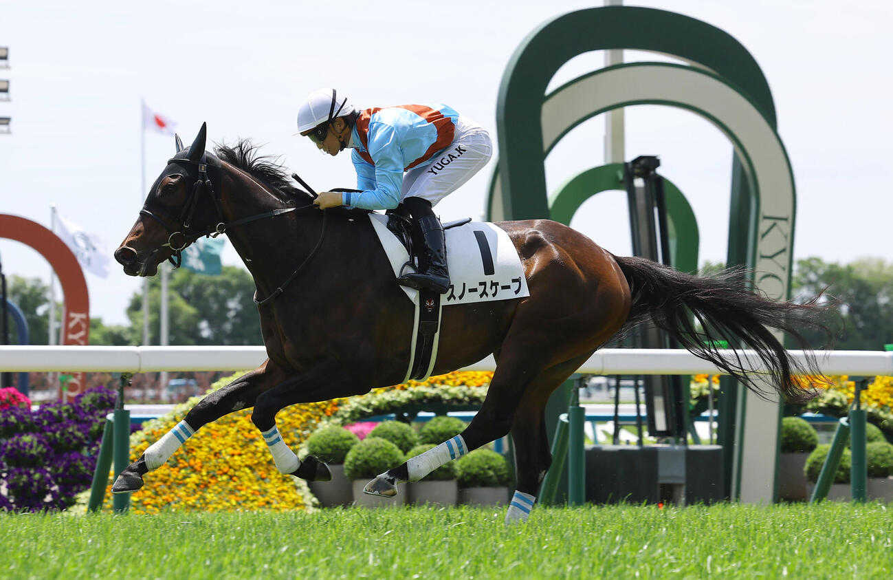 京都4R、3歳未勝利戦で勝利したスノースケープと川田将雅騎手（撮影・上田博志）