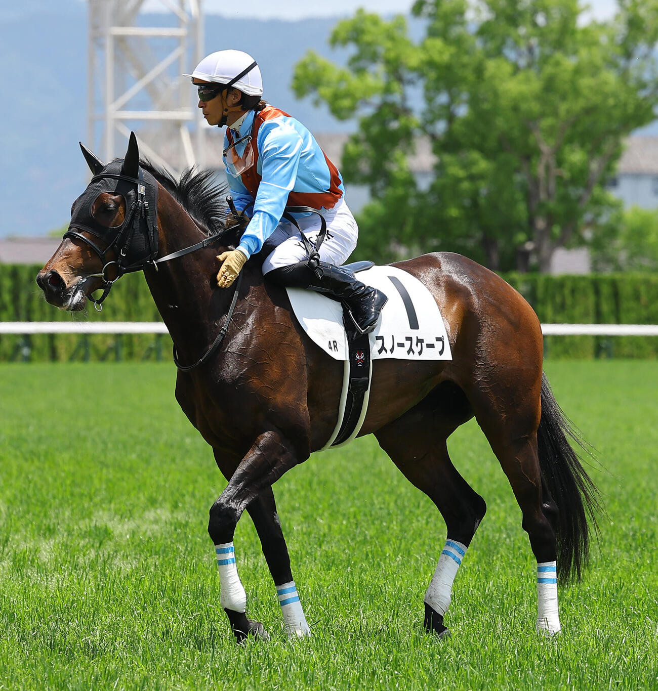 京都4R、3歳未勝利戦で勝利したスノースケープをねぎらう川田将雅騎手（撮影・上田博志）