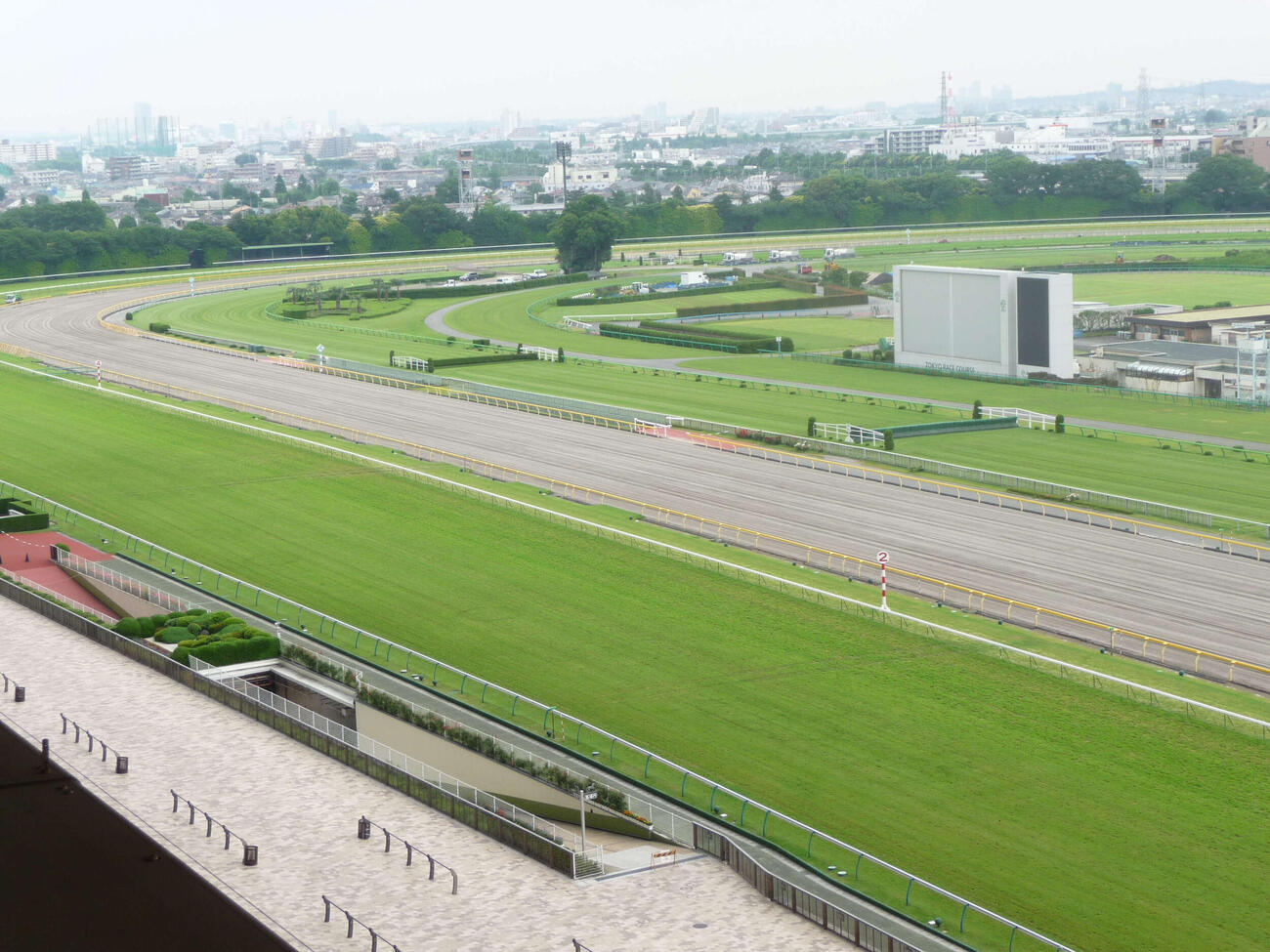 東京競馬場の直線