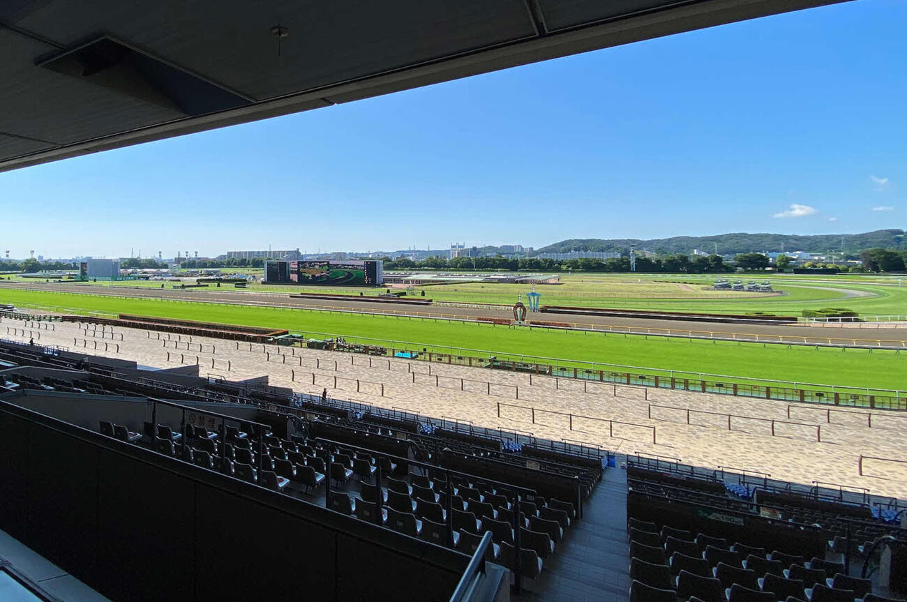 東京競馬場