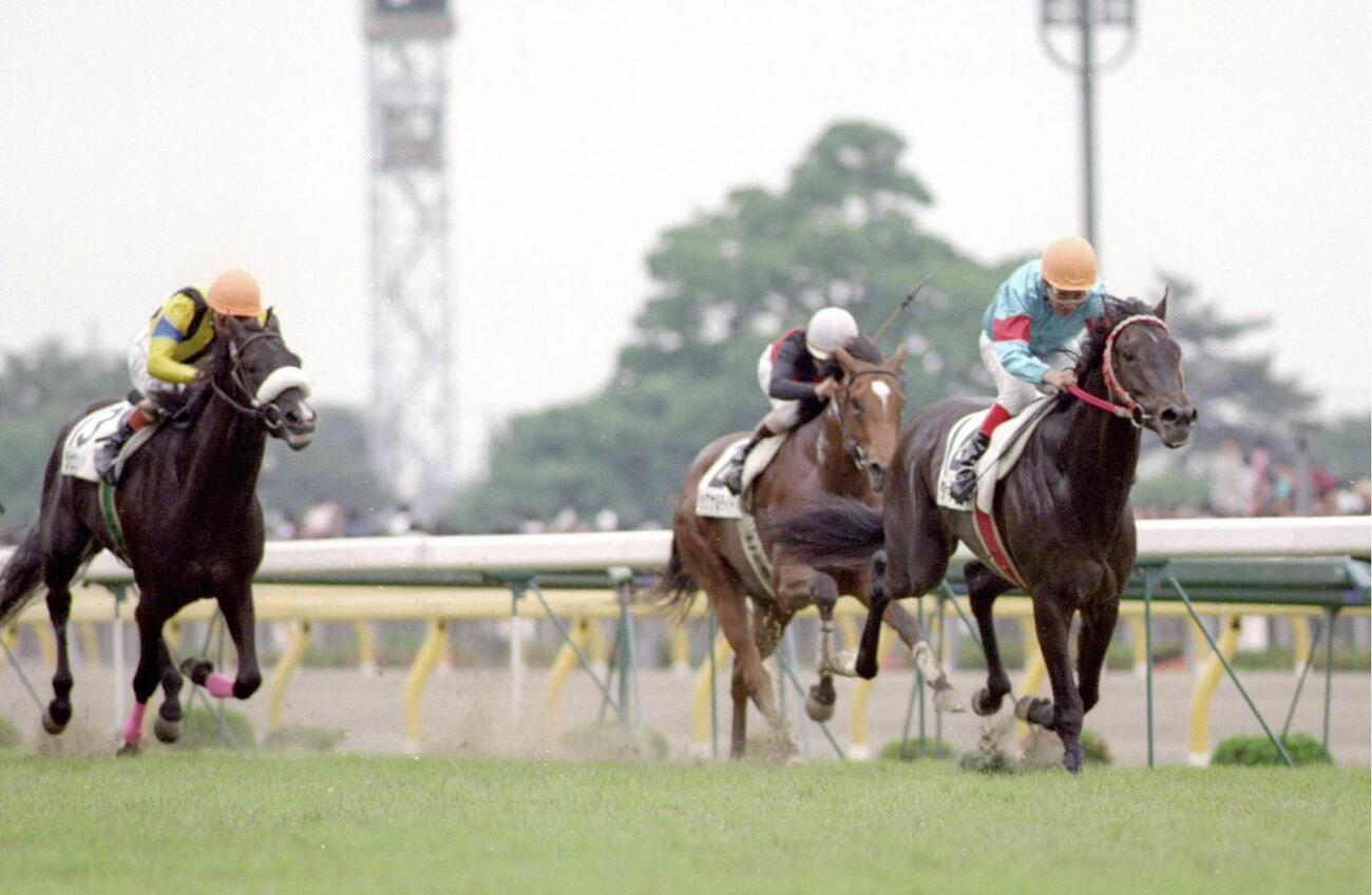 95年ダービーを制したタヤスツヨシ