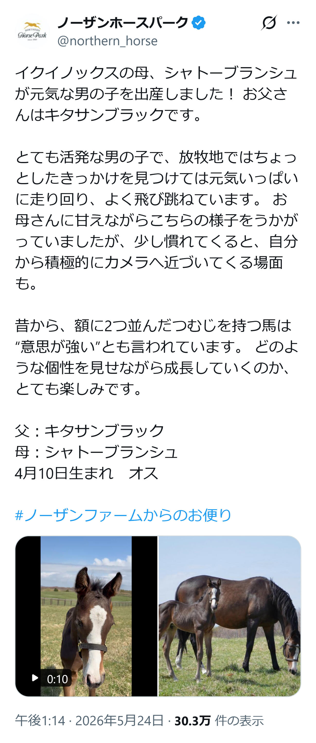 イクイノックス全弟の誕生を知らせるノーザンホースパークの公式X