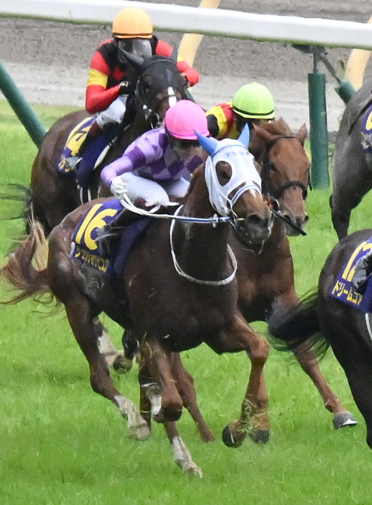 第87回オークスを制したジュウリョクピエロと今村聖奈騎手（撮影・千葉一成）