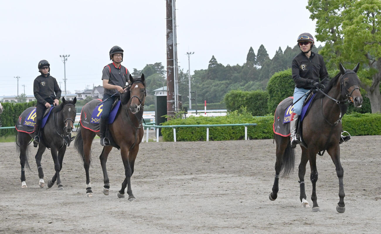 馬場を出る、右からライヒスアドラー、ゴーイントゥスカイ、フォルテアンジェロ（撮影・千葉一成）