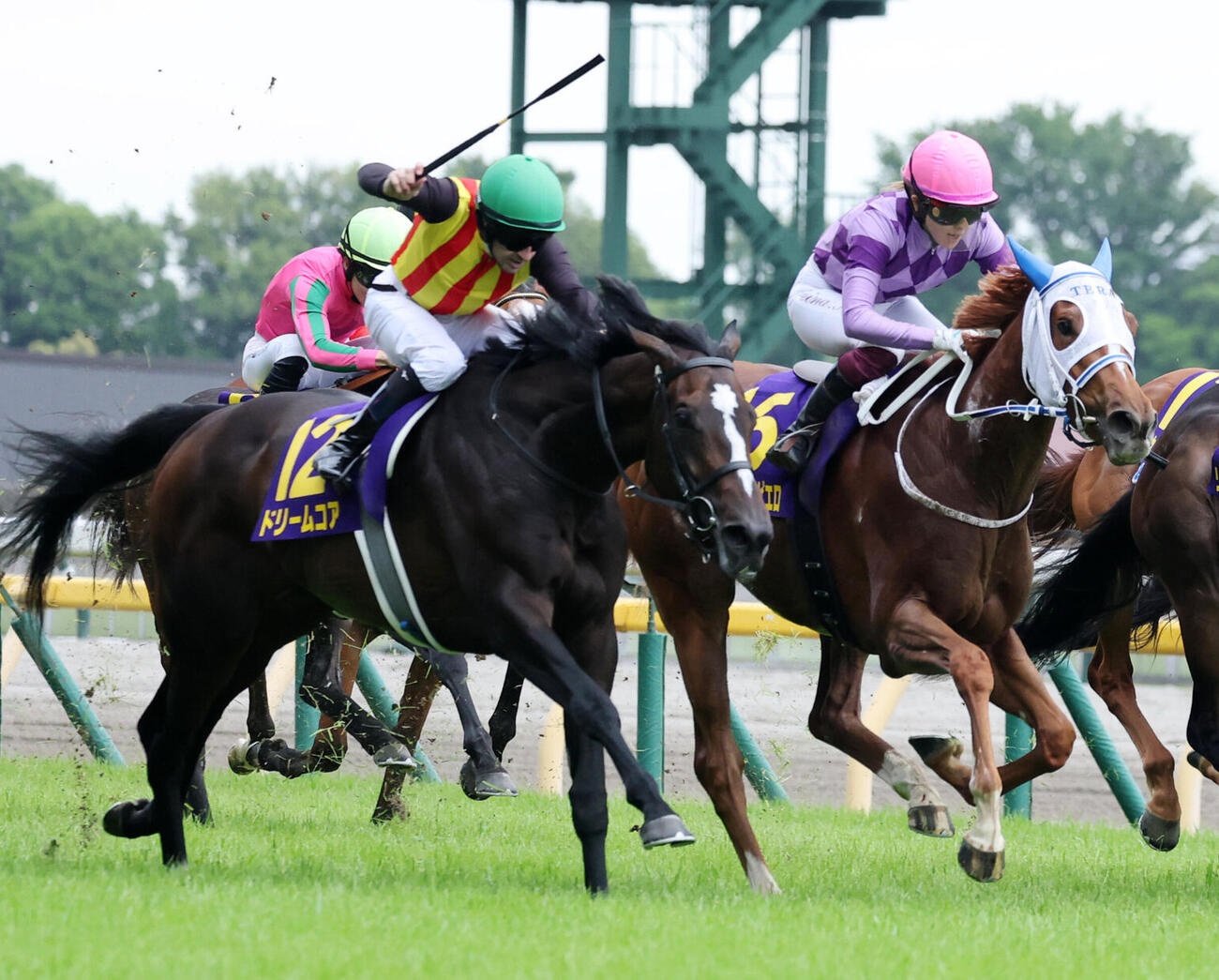 オークス2着に敗れたドリームコア（左）右は勝ったジュウリョクピエロ（撮影・鈴木正人）