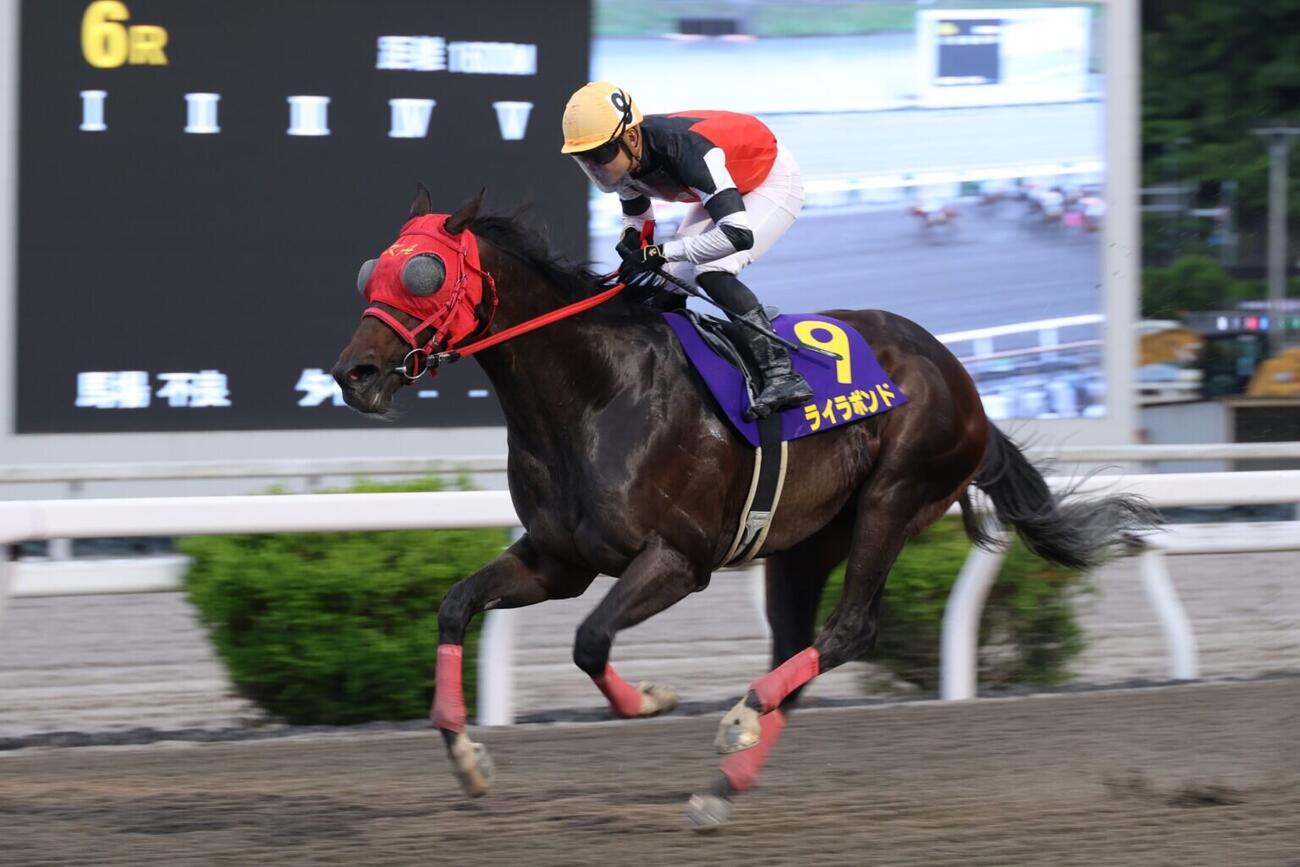 福永洋一記念を制したライラボンド