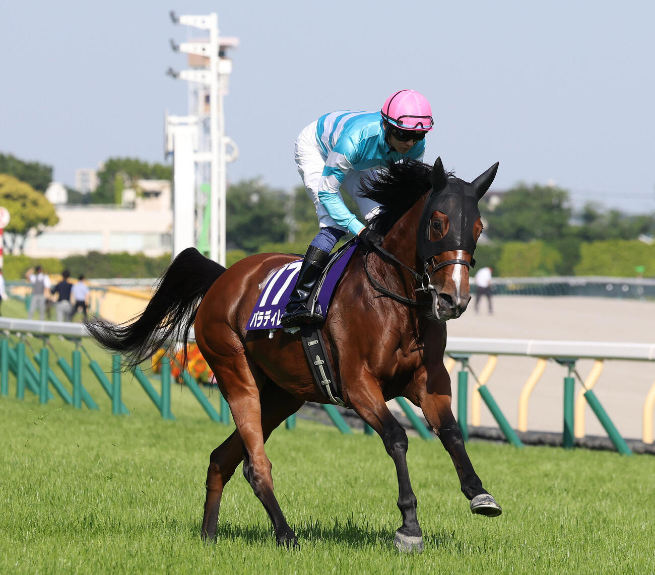 ヴィクトリアM12着に敗れたパラディレーヌ