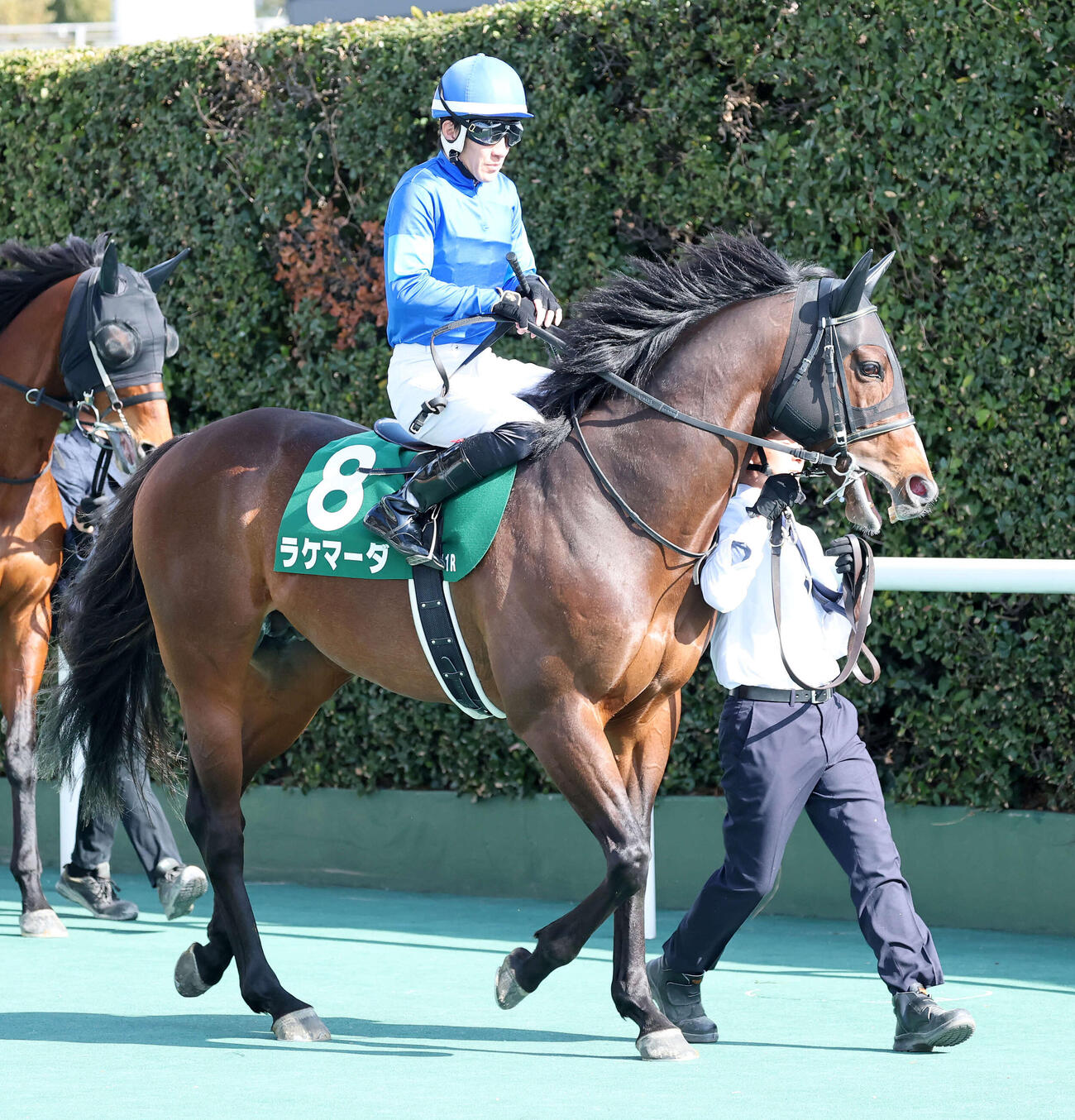 ラケマーダ（2026年撮影）　