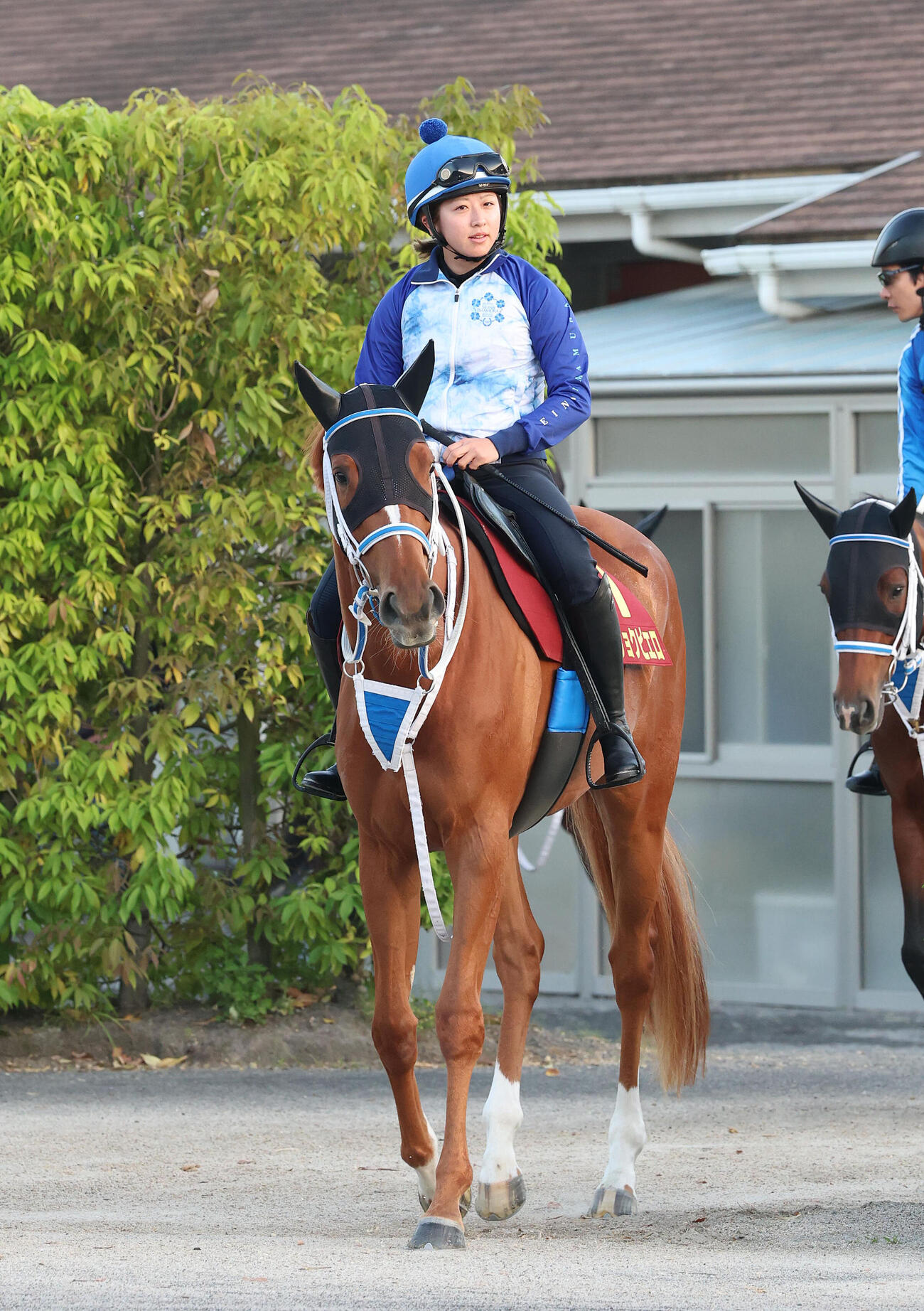 ジュウリョクピエロの調教に騎乗する今村聖奈騎手（2026年撮影）