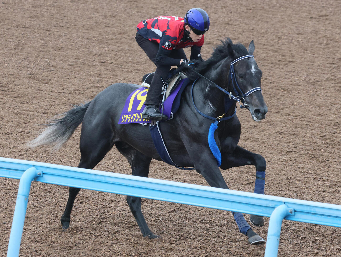 リアライズシリウスは津村明秀騎手を背に美浦ウッドを単走で追い切られた（撮影・丹羽敏通）