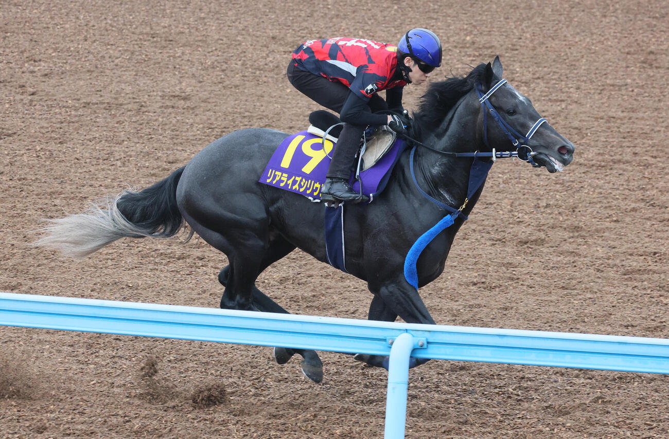 リアライズシリウスは津村明秀騎手を背に美浦ウッドを単走で追い切られた（撮影・丹羽敏通）