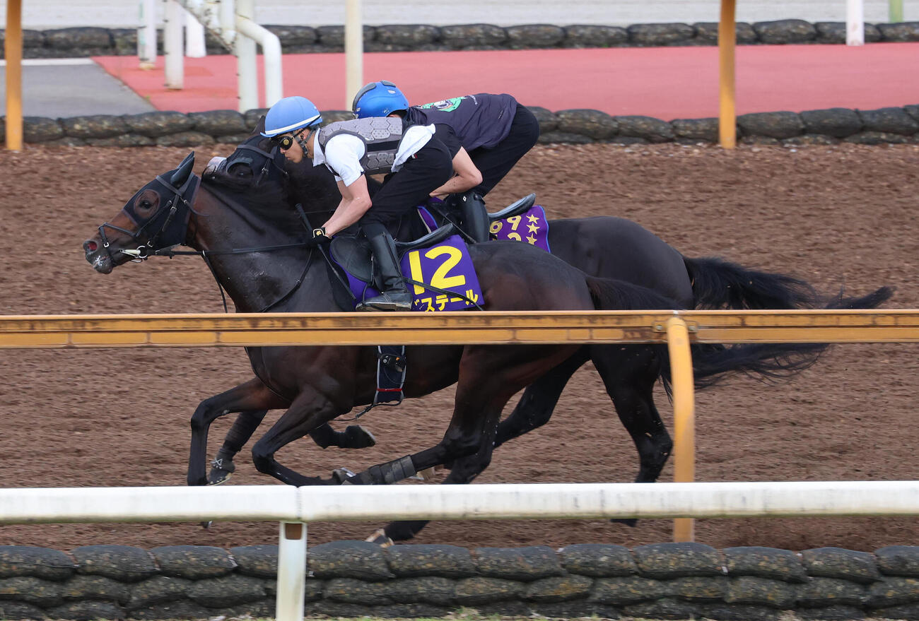 Cウッドをクロワデュノール（奥）と併せ馬で追い切るバステール（撮影・白石智彦）