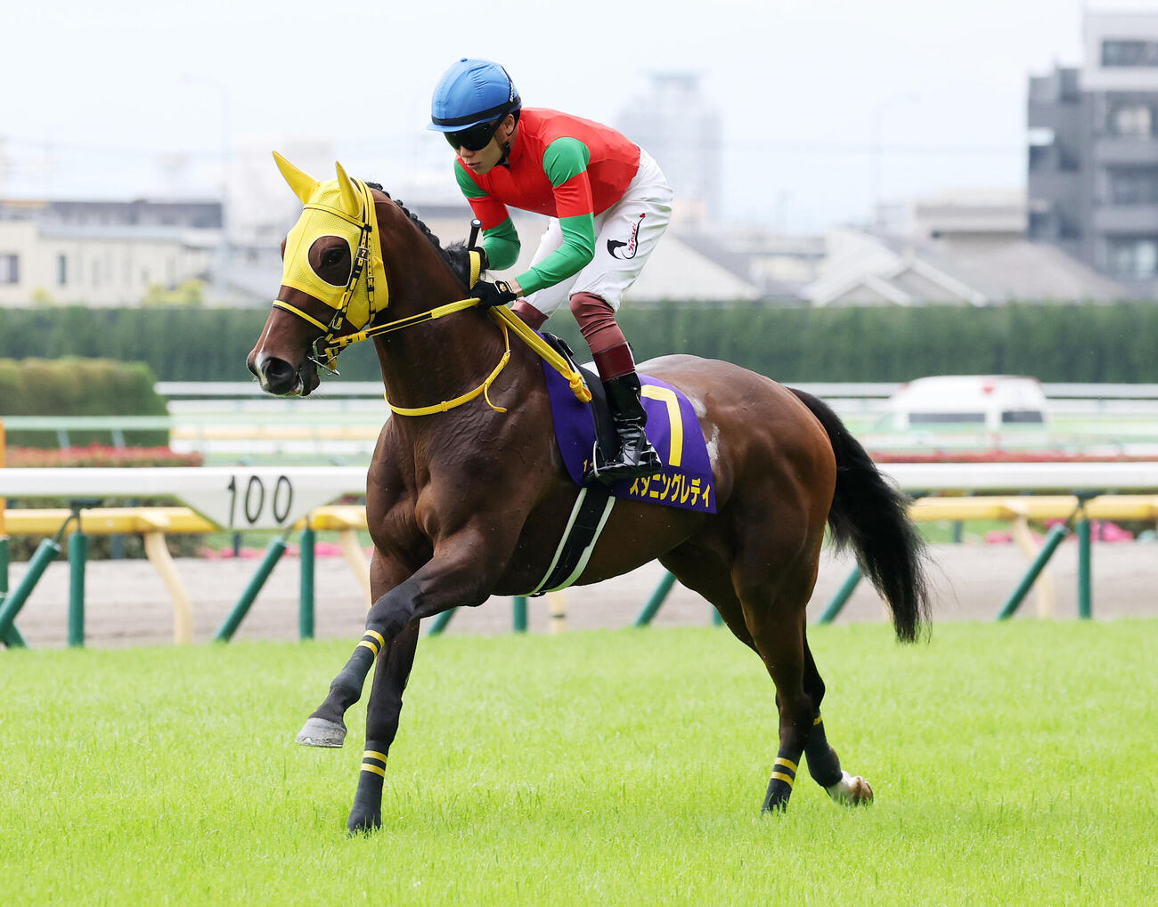 オークスで18着に敗れたスタニングレディ（2026年5月24日撮影）