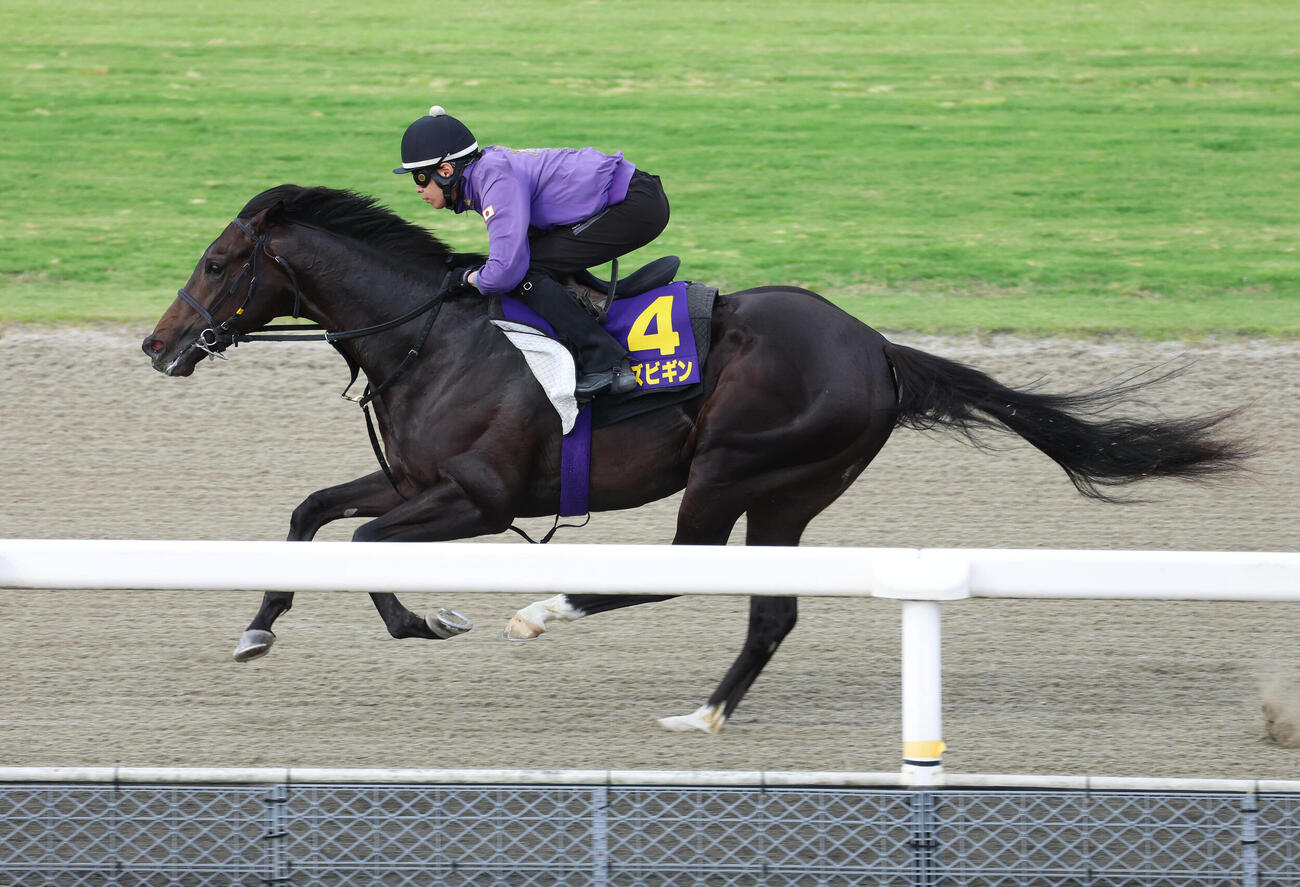 ポリトラックを単走で追い切るエムズビギン（撮影・白石智彦）