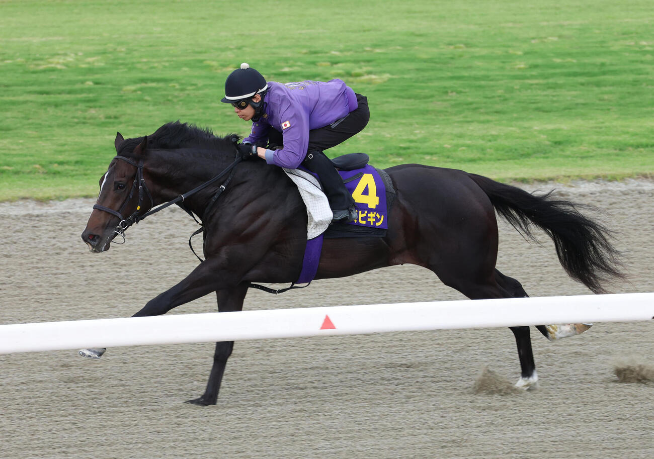 ポリトラックを単走で追い切るエムズビギン（撮影・白石智彦）