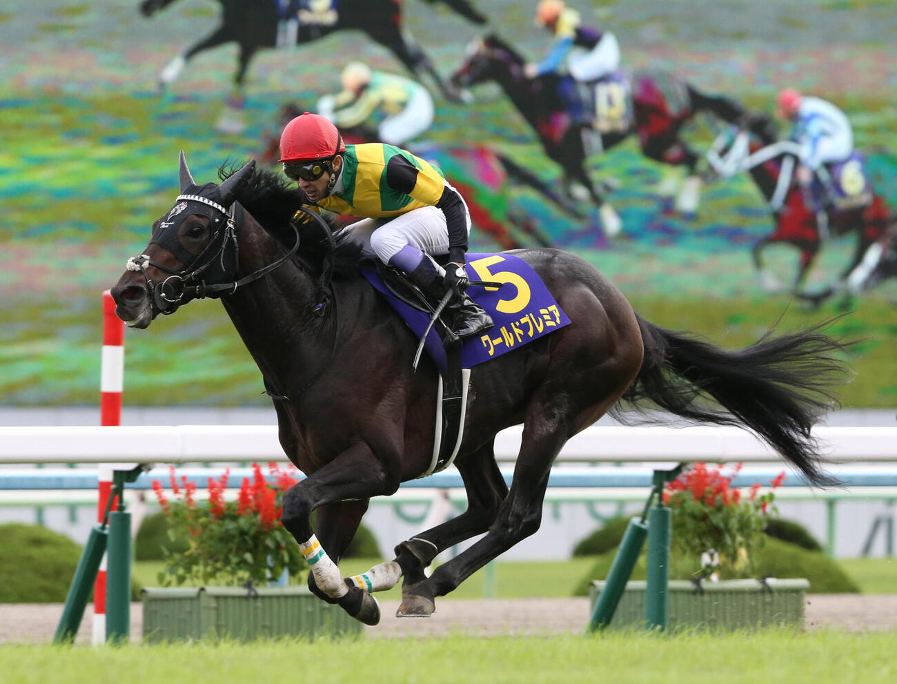 19年、菊花賞を制したワールドプレミア