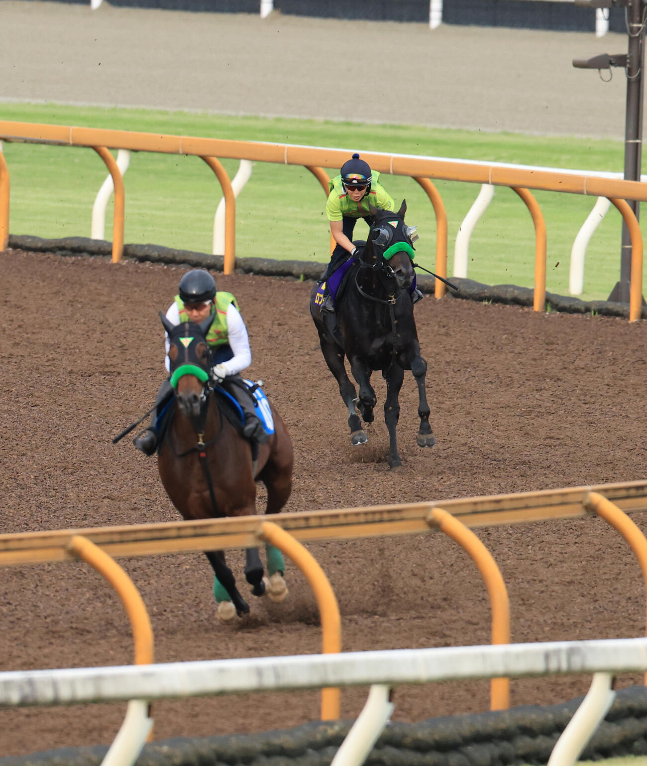 Cウッドコースを2頭併せで追い切るロブチェン（奥）