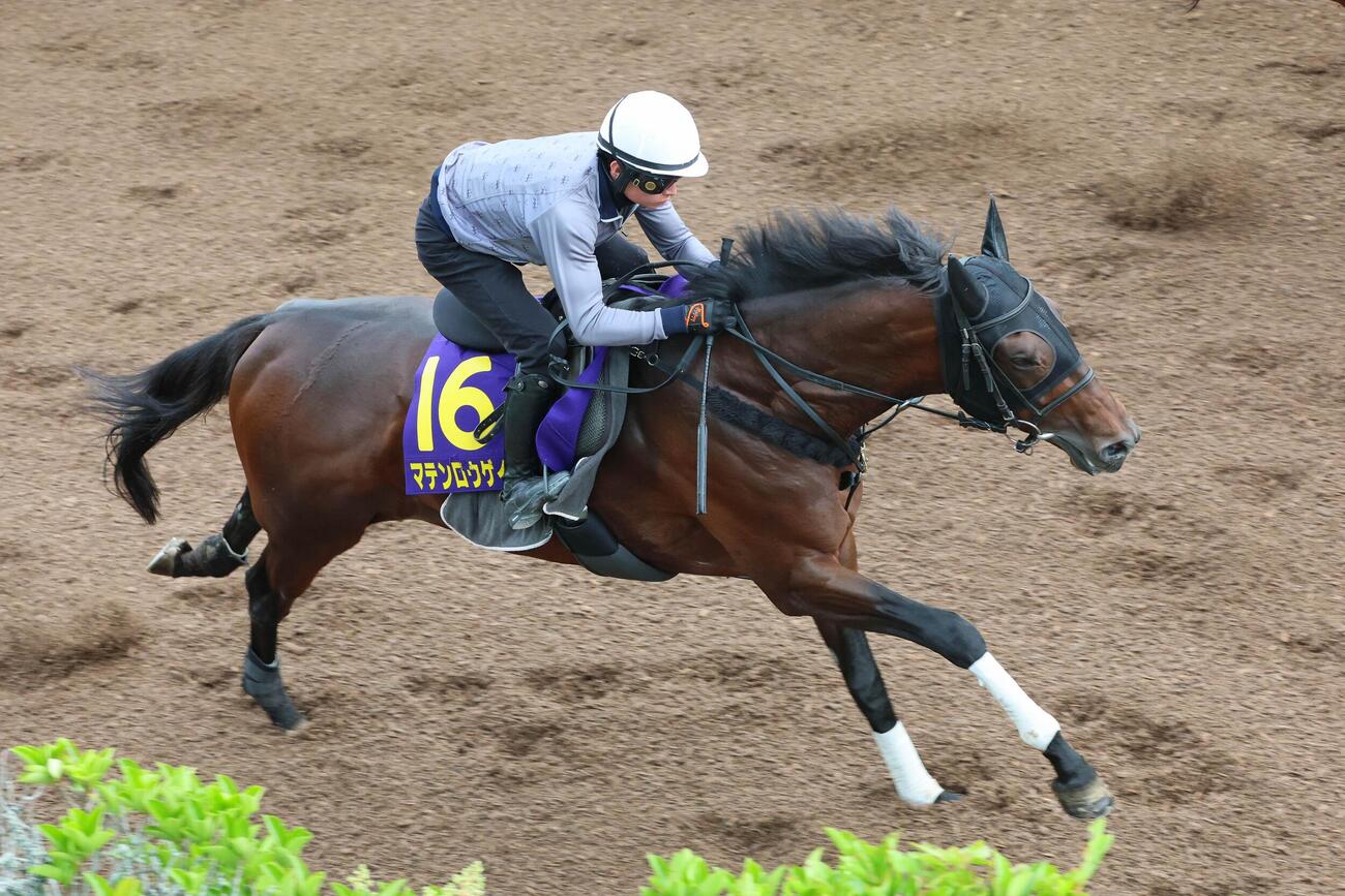 岩田望来騎手が騎乗し（レースは横山和）、馬場の良い内ラチ沿いを駆け上がるマテンロウゲイル