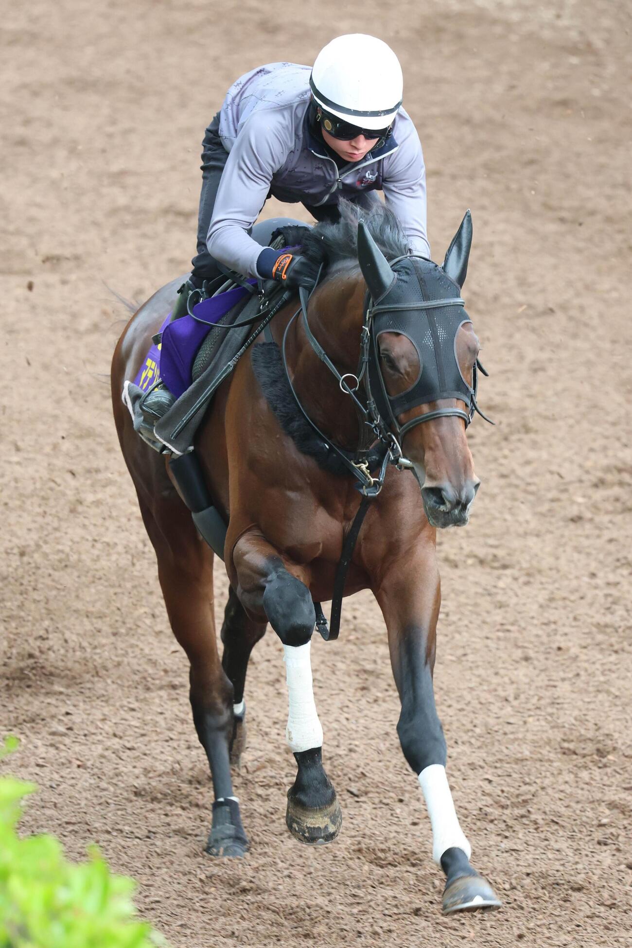 岩田望来騎手が騎乗し、馬場の良い内ラチ沿いを駆け上がるマテンロウゲイル