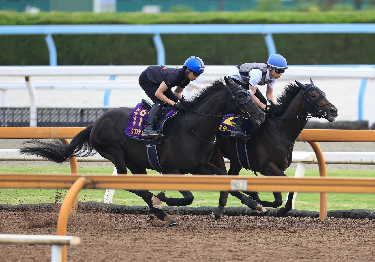 27日、Cウッドコースを2頭併せで追い切る、クロワデュノール（左）とバステール
