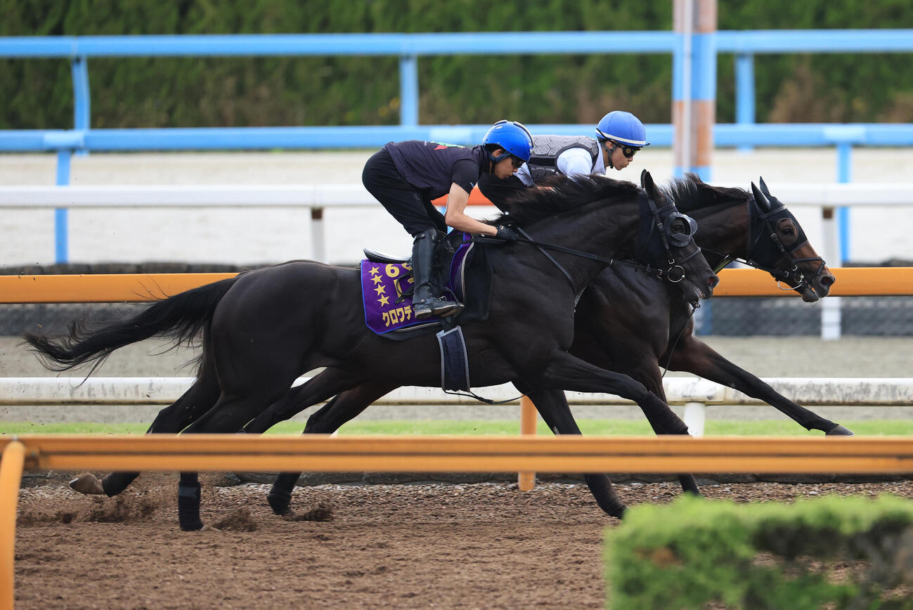 27日、Cウッドコースを2頭併せで追い切る（左から）クロワデュノール、バステール